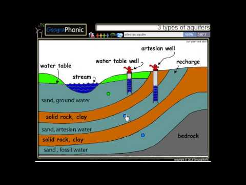 Video: Hva er transpirasjon i vannets kretsløp?