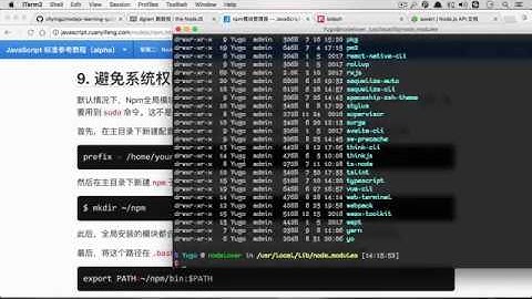 【教程（中文）】NodeJS入门教程-5 NPM （三）