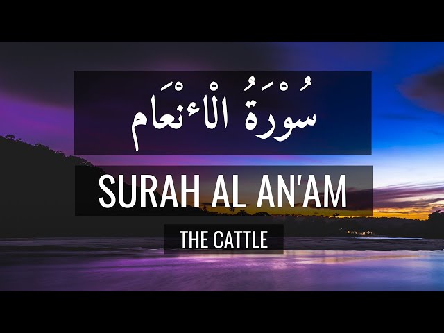 Surah Al Anam English Translation - Mishary Rashid class=