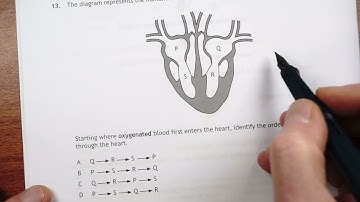 Multicellular Organisms - Nat5 Biology - Multiple Choice Questions 2022