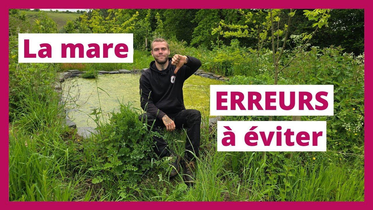 Erreurs à éviter lors de la création d'une mare naturelle