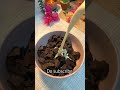 #trending #shorts #youtubeshorts #shortvideo #explore #viral #foryou