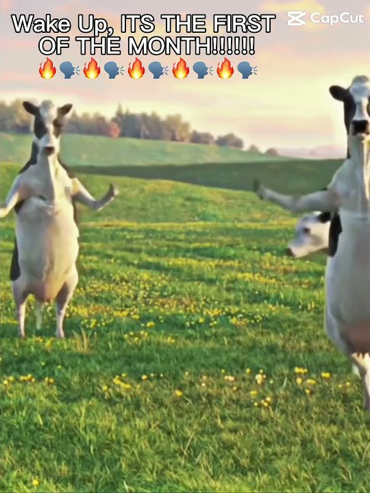 Wake up its the first of the month youtube