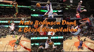 Nate Robinson Dunk & Block Compilation ᴴᴰ