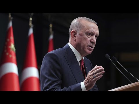 Турция высылает послов 10 стран