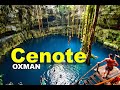 Impresionante Cenote Oxmán del Pueblo Mágico Valladolid en Yucatán México