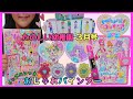 【雑誌付録】かわいすぎる♡ たのしい幼稚園 3月号トロピカル～ジュ！プリキュア リップペンつき♡おしゃれバインダー で 遊んだよ♪　precure　Tropical-Rouge! Precure