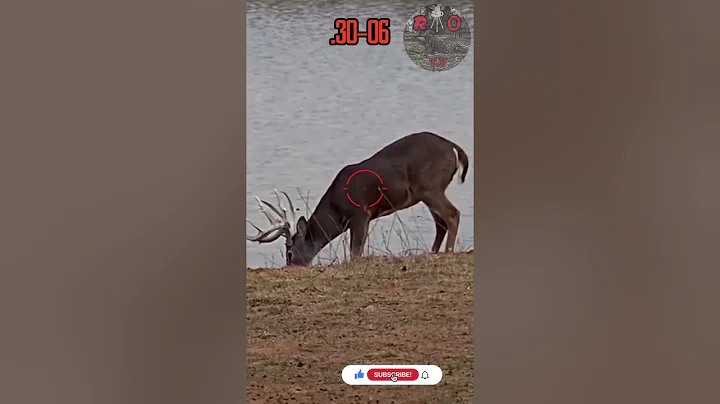 .30-06💥👊🏽PUNCHES | Deer Hunting #texas #viral #caceria #deerhunting #shooting #gunops #scopecam