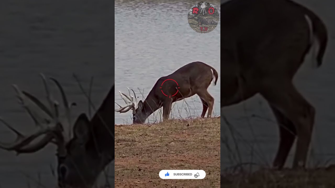 30 06 PUNCHES Deer Hunting Texas Viral Caceria Deerhunting Shooting Gunops Scopecam