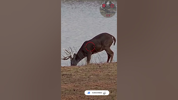 .30-06💥👊🏽PUNCHES | Deer Hunting #texas #viral #caceria #deerhunting #shooting #gunops #scopecam