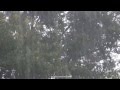 2 HORAS TORMENTA LLUVIA Y RELAX SONIDOS DE LA NATURALEZA  MUSICA RELAJANTE MUSICA RELAX