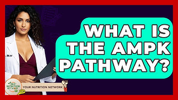 What Is The AMPK Pathway? - Your Nutrition Network
