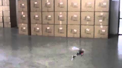 eHIROBO.com - Skyartec WASP X3S Flybarless 3G3X System Indoor Flight