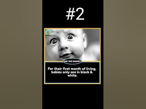 #shorts AMAZING FACTS #1DID YOU KNOWFacts World- YouTube #shorts AMAZING FACTS #1DID YOU KNOWFacts World- YouTube