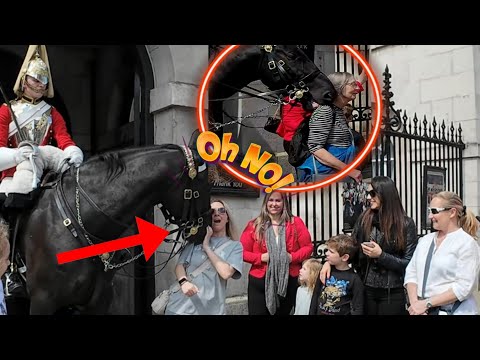 GET OUT OF MY WAY! Horse Takes Action as Woman Screamed in SHOCK!