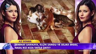 Beren Saat'in Büyük Beğeni Yaratan Kedilere Kahvaltı Jesti