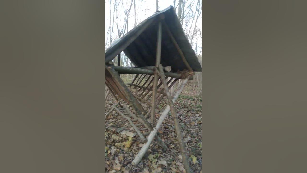 Кормушка в лесу - YouTube