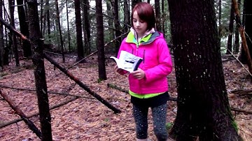 A Field Guide to Sasquatch Structures: The 50 Most Common Types in North American Forests