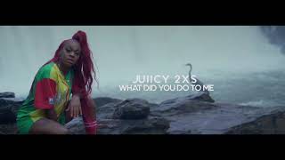 Watch Juiicy 2xs What Did You Do To Me video