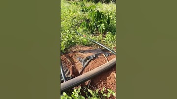 cách kết nối ống LDPE và bố trí ống chính ,ống nhánh trong hệ thống tưới