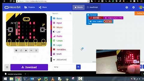 How to Read Temperature Using BBC Micro:Bit