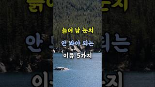 늙어 남 눈치 안 봐야 되는 이유#명언#좋은글#지혜