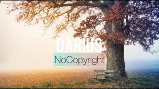 Tobu - Seven [No Copyright Music]