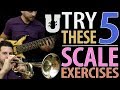 Try These 5 Scale Exercises for Bass - Online Bass Lessons