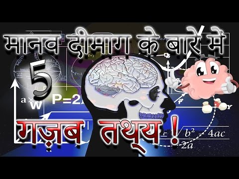 वीडियो: मस्तिष्क का कौन सा भाग रहस्यमय अनुभवों से जुड़ा है?