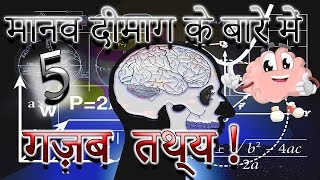 मानव मस्तिष्क के बारे में 5 आश्चर्यजनक तथ्य | 5 Stunning Facts About The Human Brain