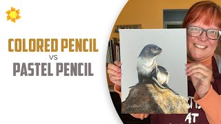 Colored Pencil vs Pastel Pencil (with Fur Seal painting)