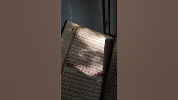 اكتب شيء تؤجر عليه #quran #اكسبلور #المصحف #قرآن #راحة_نفسية #قران_كريم #ماهر_المعيقلي #سورة_الضحى