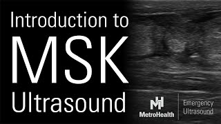 Intro to MSK Ultrasound screenshot 3