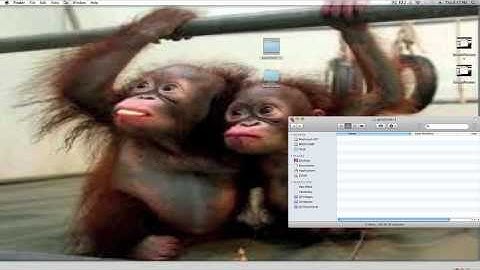 Easy way to install Parachute Mod 1.2.5 [Mac]