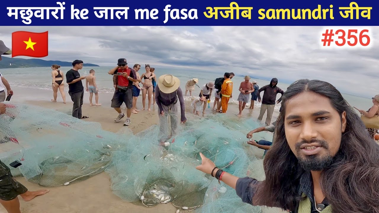 🌉 Discover Da Nang: Beaches, Bridges & Beauty of Vietnam !! EP- 356