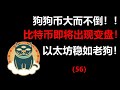 （不再推荐，仅供参考）已赚35万人民币 | BSC项目 bnbstake 第三期  上线13天累计质押总量破22000BNB.（ 投资建议和风险提醒）