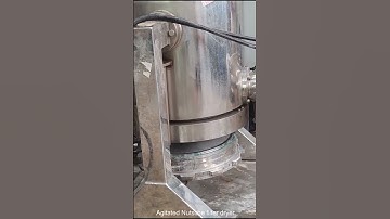 Agitated Nutsche Filter Dryer