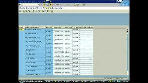 SAP Security -Convert Auth object field to Org Value - techyskills, techy skills