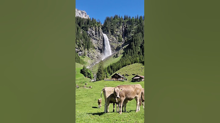 Canton Uri😊🇨🇭.#Switzerland #youtube #youtubevideos #travel #adventures #shorts #highlights #everyone