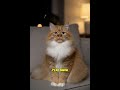 Your Cat Is Secretly Saying This 🐾😳 #Shorts