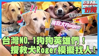 台灣NO.1狗狗英雄們！搜救犬Roger咬麥克風爆紅🎤曾登《醫師》現場模擬找人全場驚呼！「破壞王威力」讓胡瓜痛到哀號？【醫師好辣】汪汪隊特輯｜ 胡瓜 Roger  Colin  Wilson