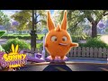 SUNNY BUNNIES - Mouth Watering Cake | Season 2 | Cartoons for Children