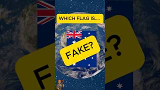 Guess The Fake Flag Challenge