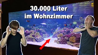 AQUARIUM DREAMHOUSE  37.000 liter saltwater tanks *crazy* (english subtitles)