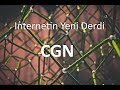 CGN - LSN - NAT444 - Gerçek IP nedir ? CGN den Nasıl Kurtulurum ?