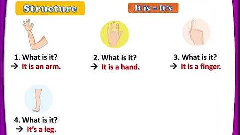 Khủng long tiếng anh 1 - Unit 8 - My body