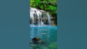 سورة النحل الآية ٩٧ الشيخ مشاري العفاسي