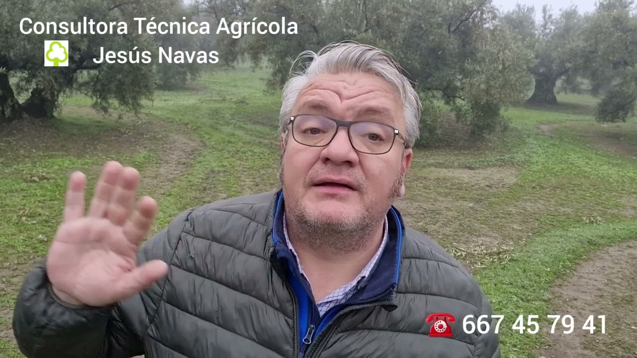 OjO con los Tratamientos Fúngicos