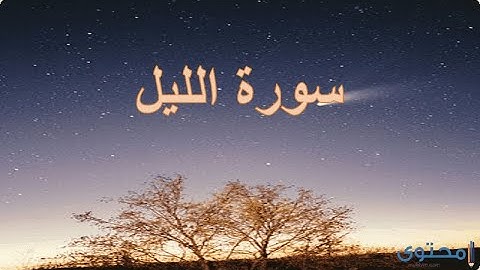 ختمة المراجعة السريعة بالحدر مع مراعاة الأحكام ( سورة الليل ) للشيخ نصر الدين عصام التمادي .