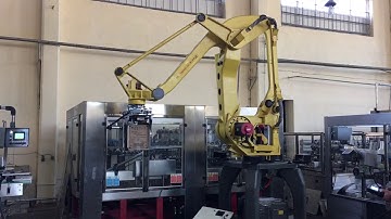 Fanuc palletizing robot 410iA/300